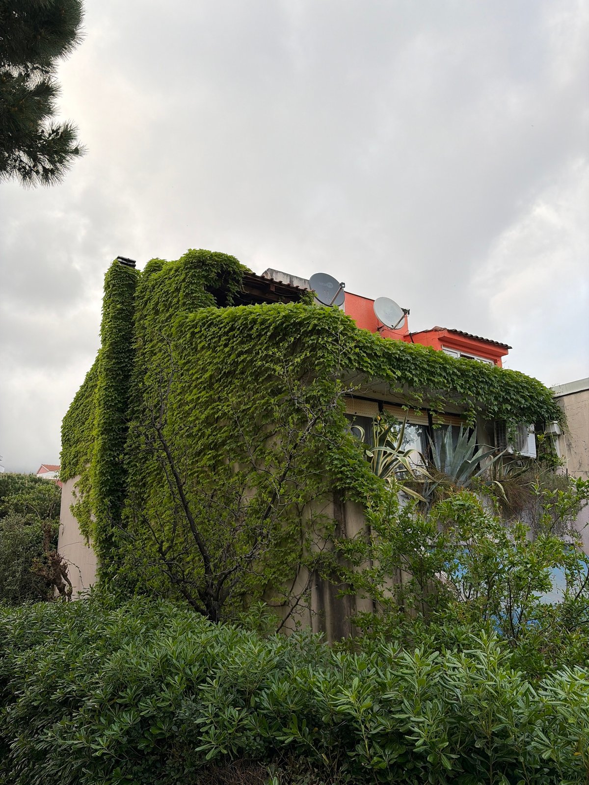 Spring nature scenes documented across Budva, Montenegro