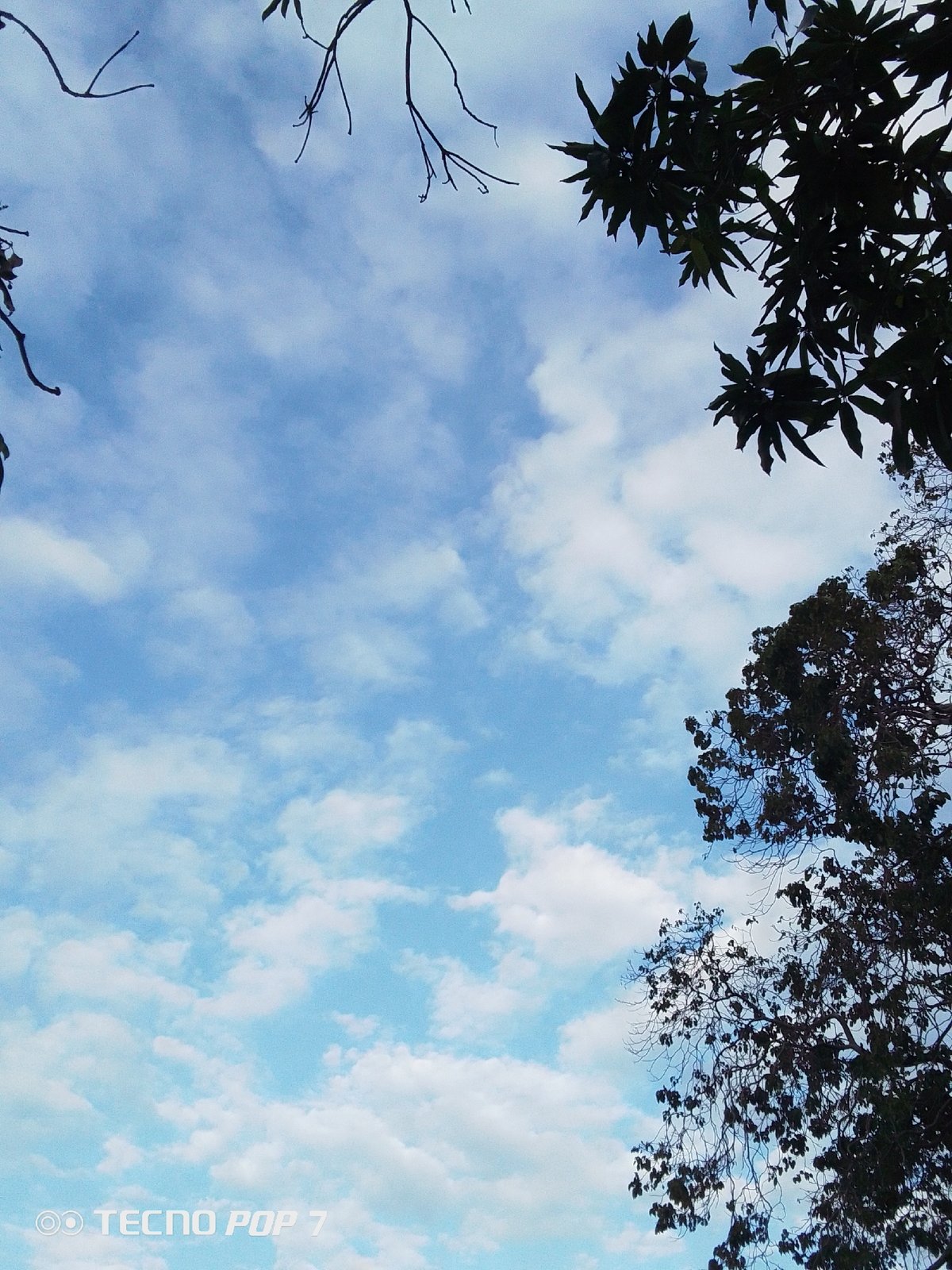Sky watching session documented in Altagracia, Venezuela