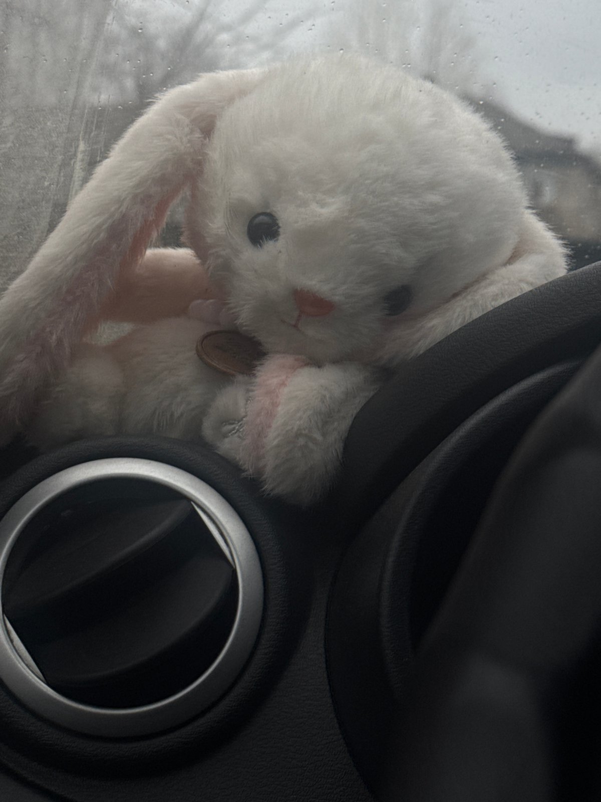 Stuffed bunny spotted on car dashboard in Perm
