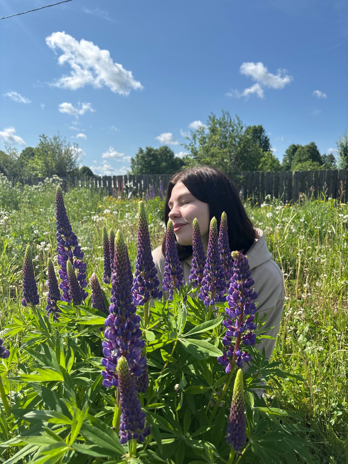 Morning scenes captured in Zasechnyi: woman among lupines, dog in yard