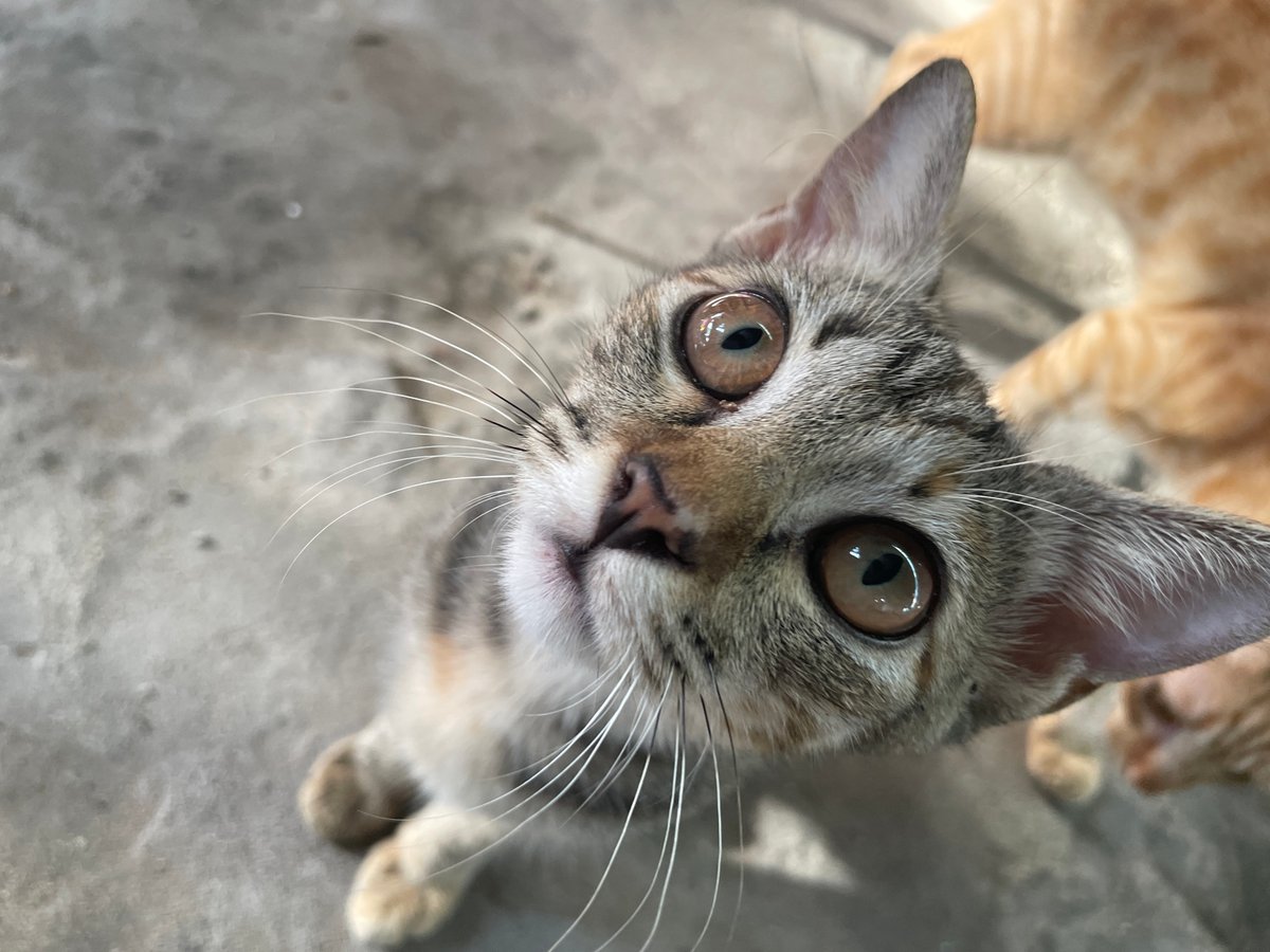 Street scenes and everyday life in Phu Thuy Ward, Vietnam