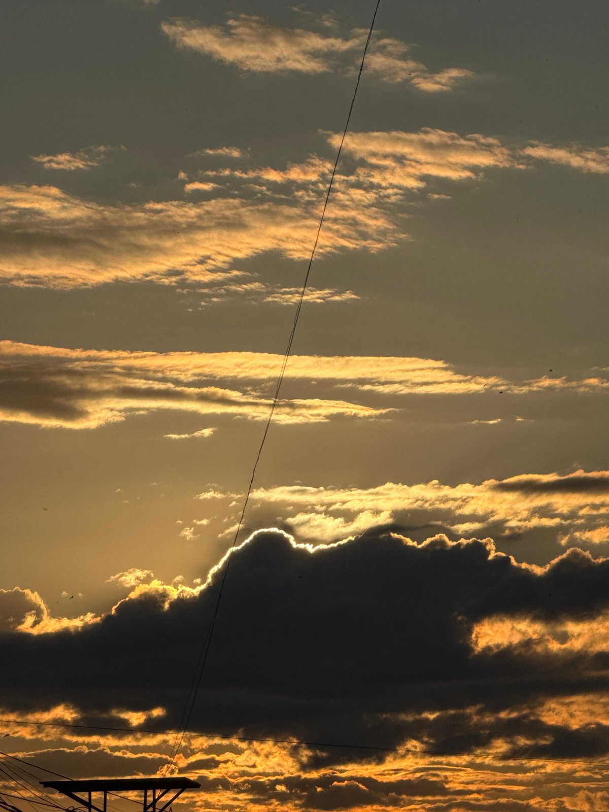 Evening life unfolds across Chaikovsky, Russia in summer snapshots