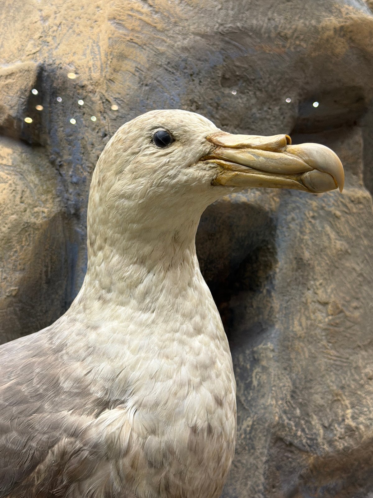 Natural history museum, Moscow Metro, and city streets