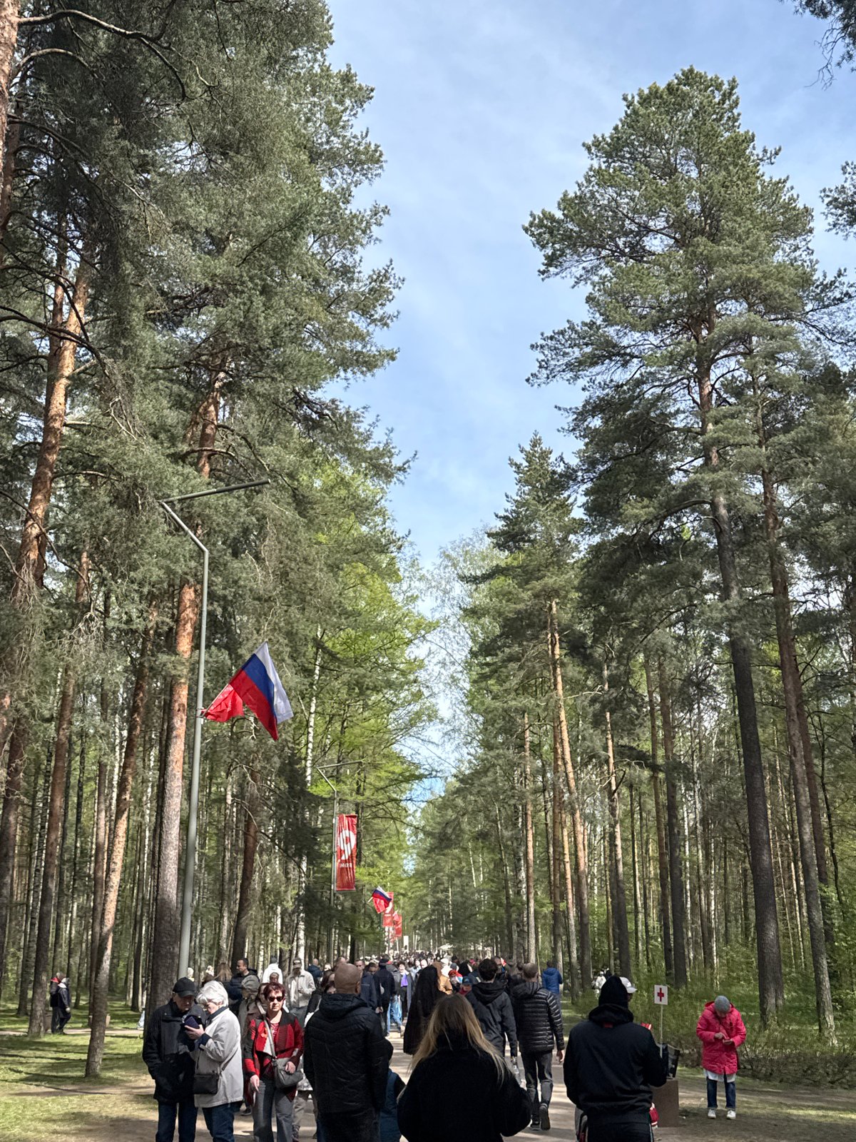 Forest procession with Russian flags draws crowd in Saint Petersburg