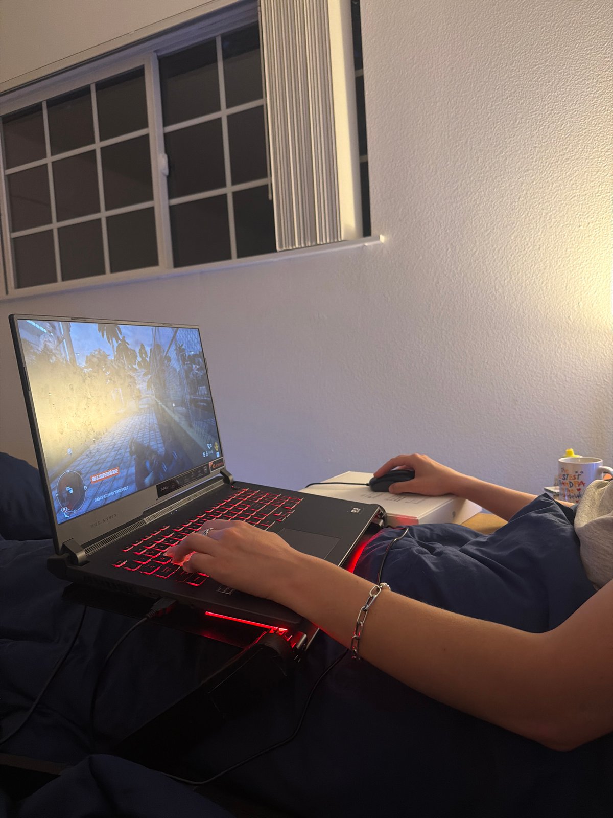 Late-night Portland apartment: gaming, desk work, and a tabby cat