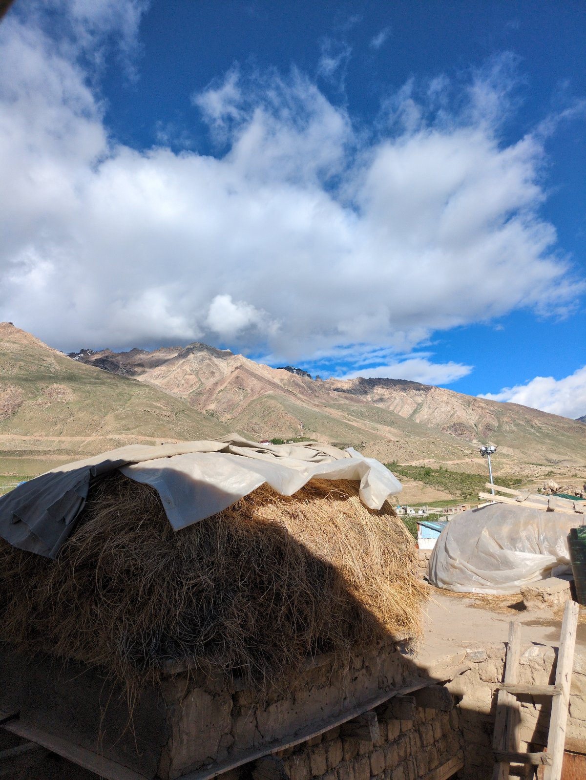 Stored hay and stone pathways in rural Padum, Ladakh