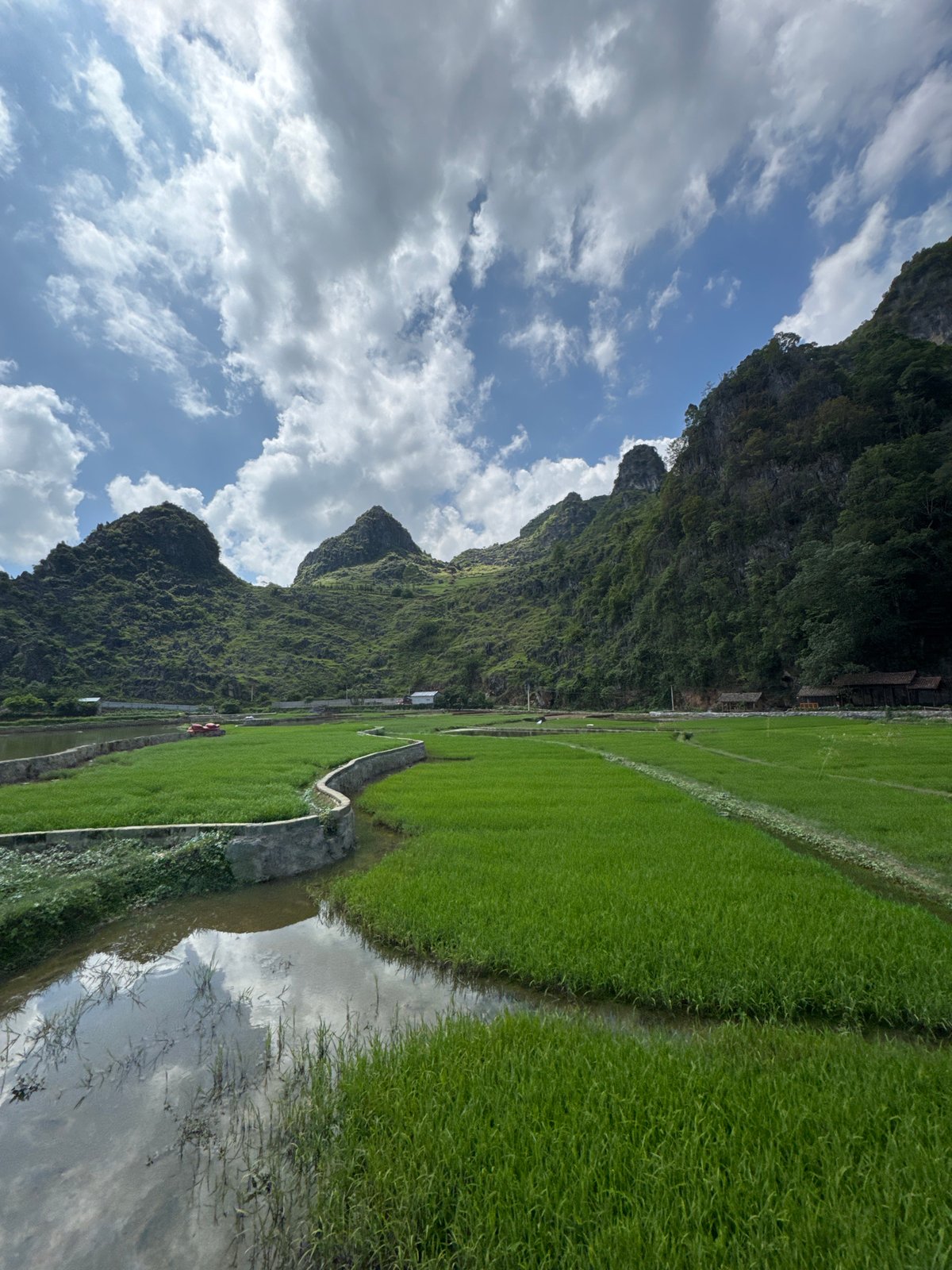 Morning documentation of rural landscapes in Đồng Văn Commune, Vietnam