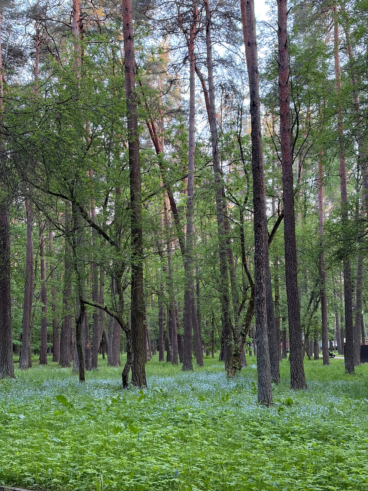 Casual documentation tour captures parks and landmarks across Minsk
