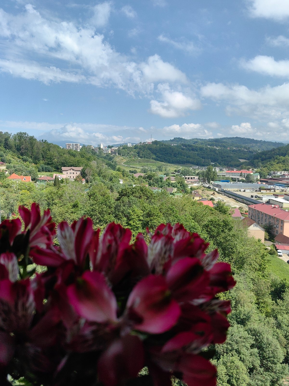 Morning routine documented in Sochi with flowers and city views