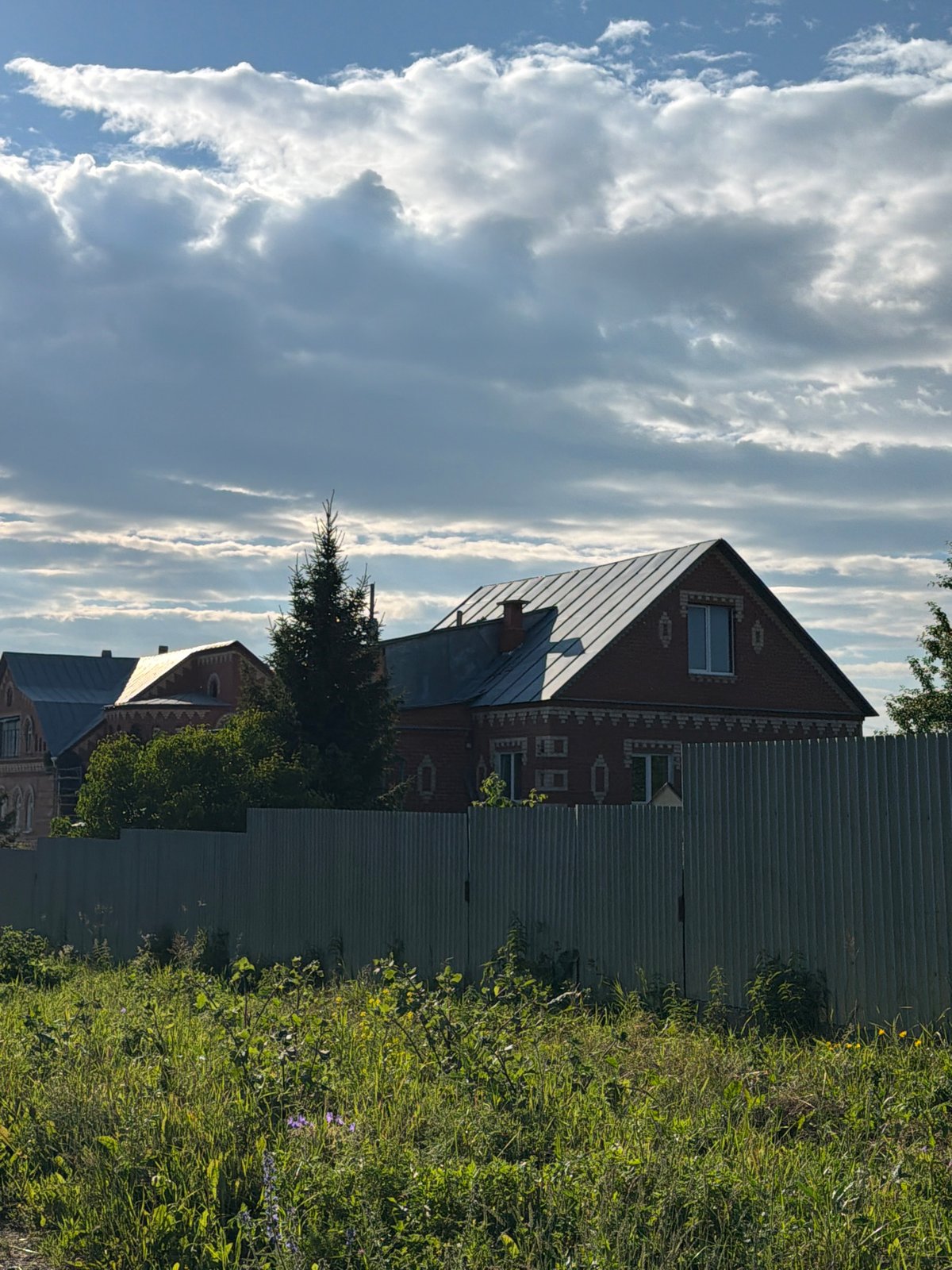 Lazy summer afternoon in a rural village, cats included