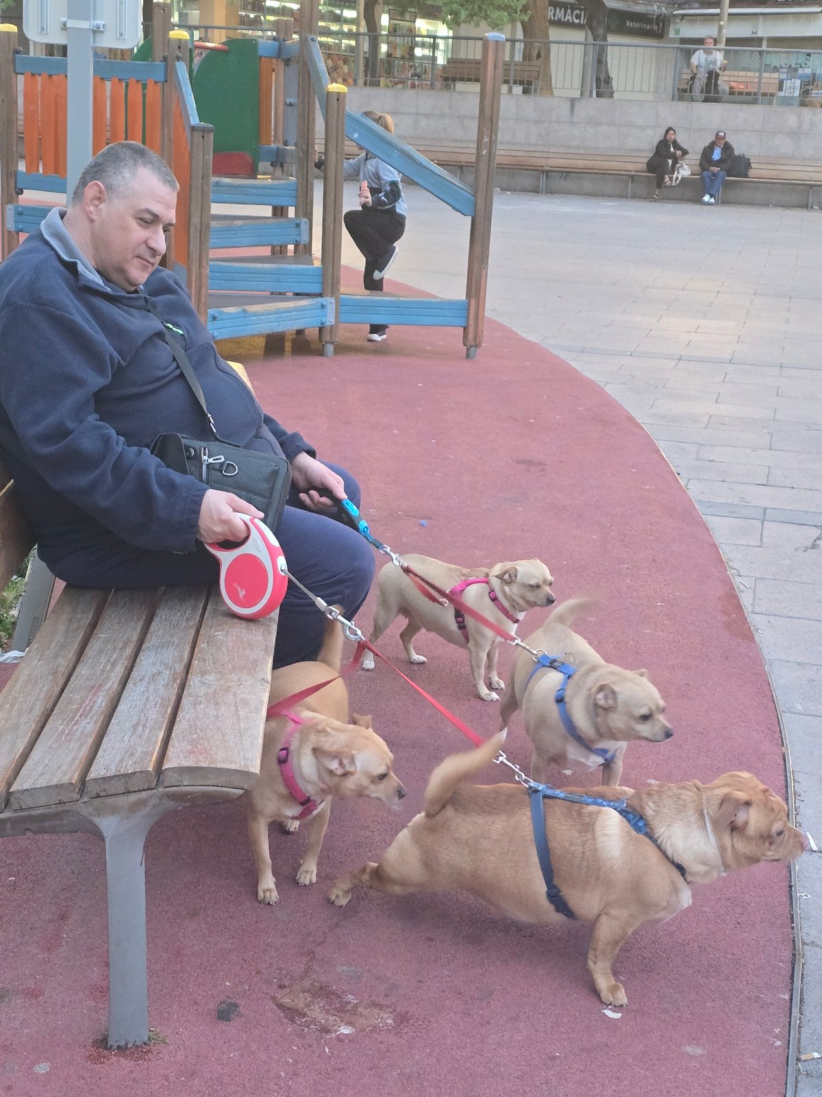 Evening park life captured in Cornellà de Llobregat