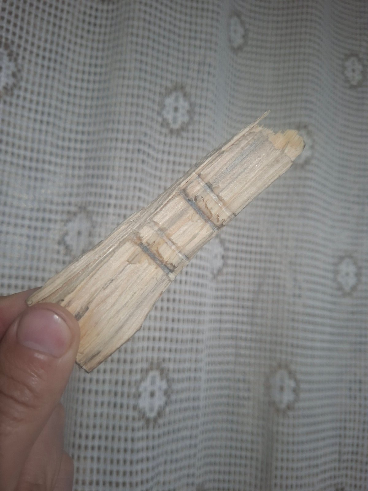 Household Items Systematically Catalogued in Kokshetau, Kazakhstan