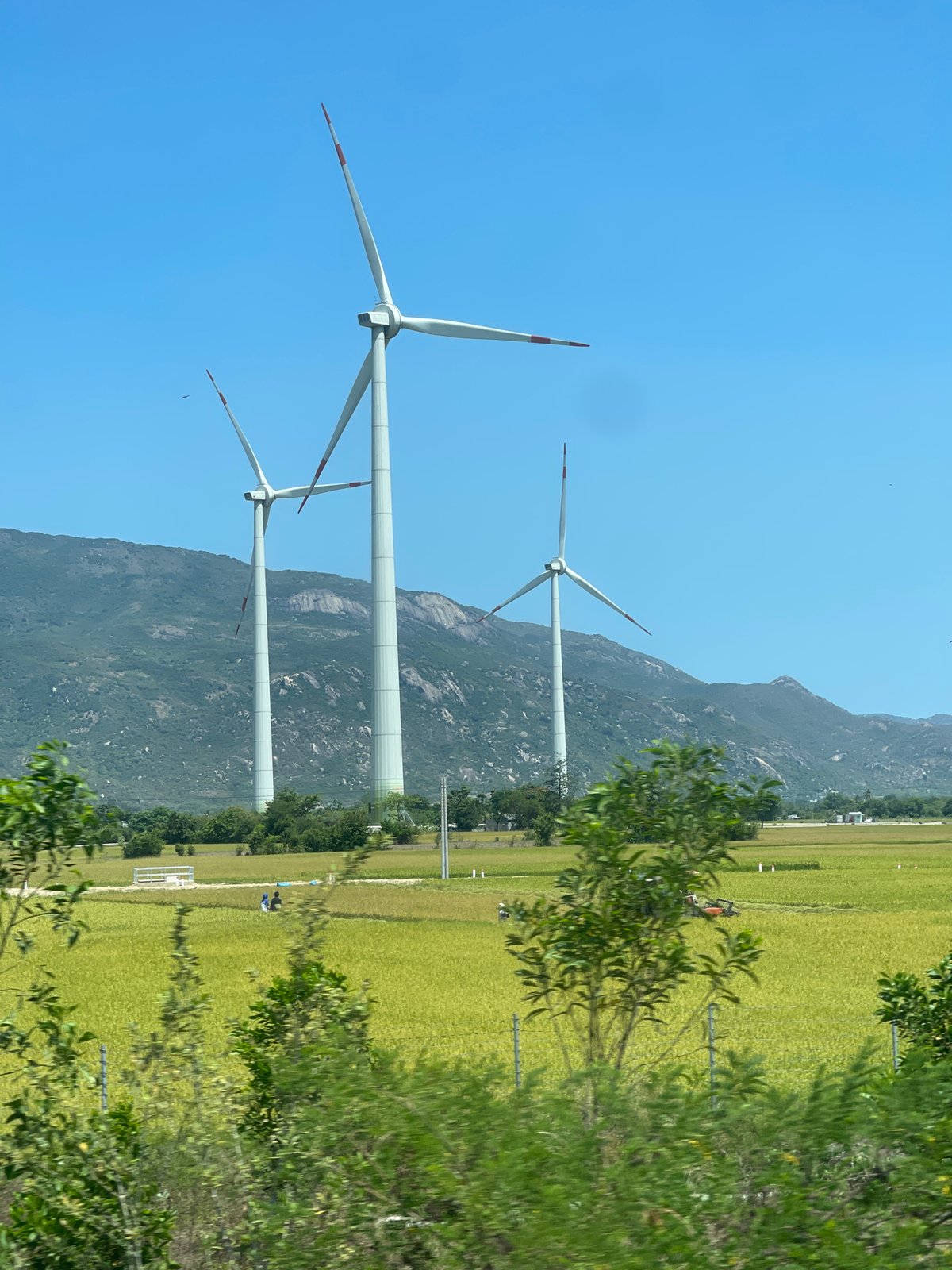 Wind farm operations documented in rural Vietnam