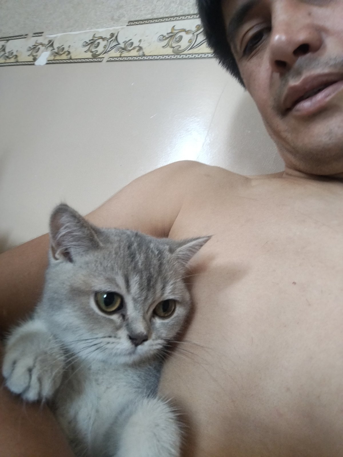 Quiet morning at home in Kokand, kids and a kitten