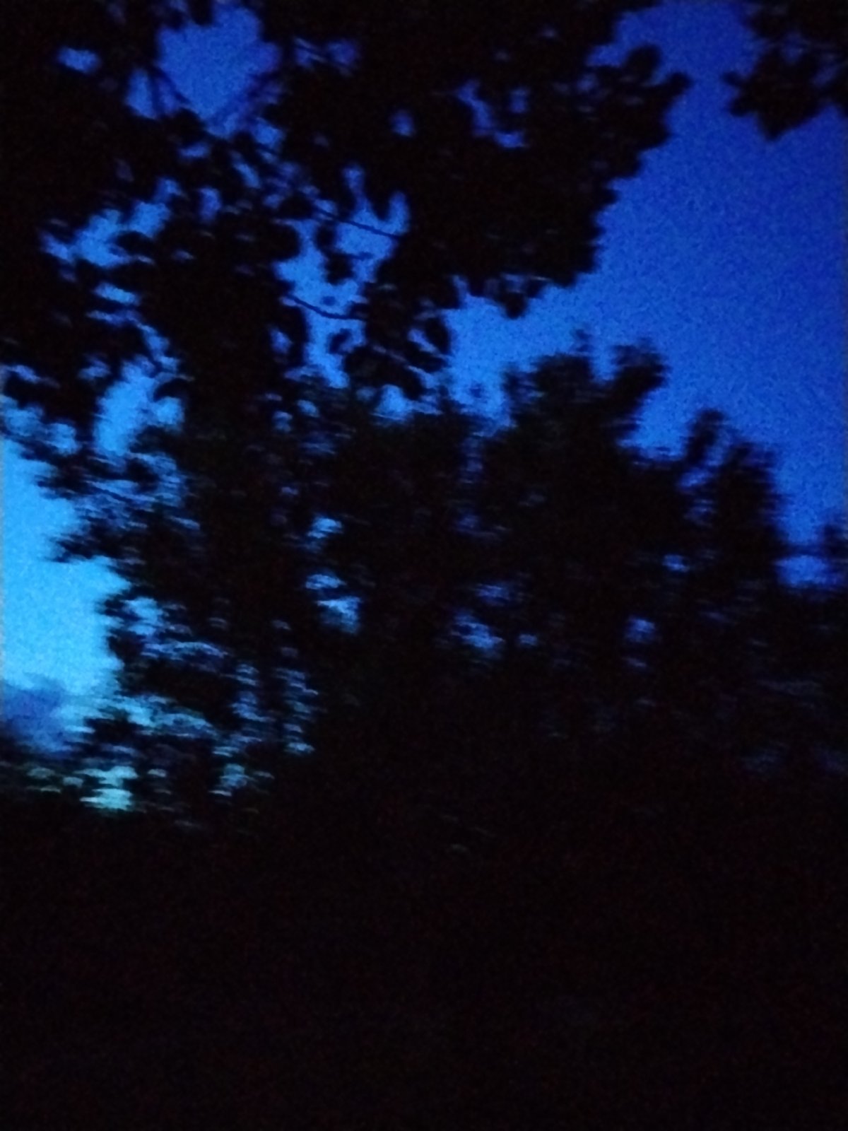 Dusk settles over the treeline in Ustyvytsia, Ukraine