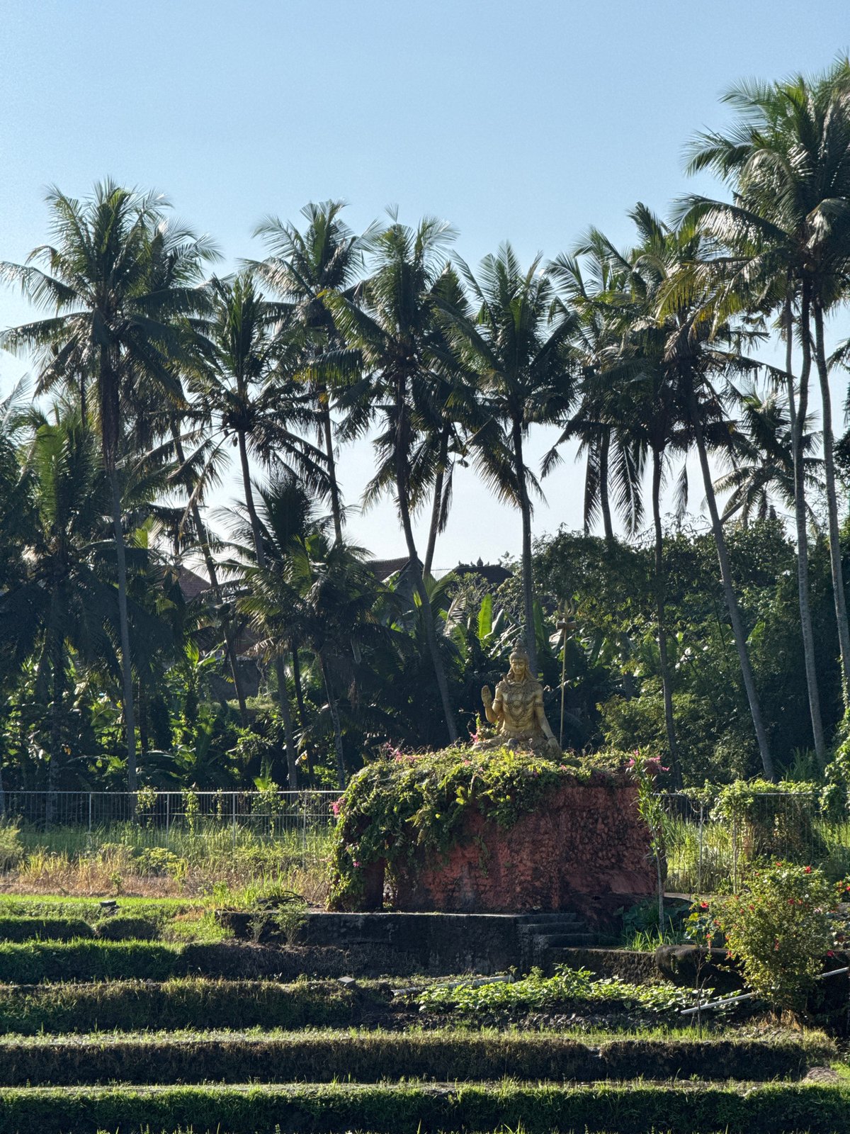 Tropical scenes documented in Ubud District, Indonesia