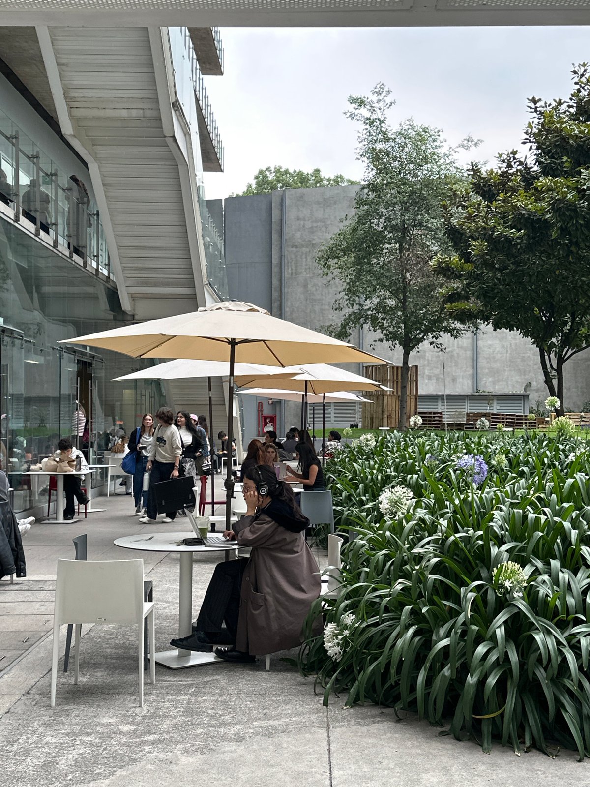 Evening study session at Mexico City outdoor campus area