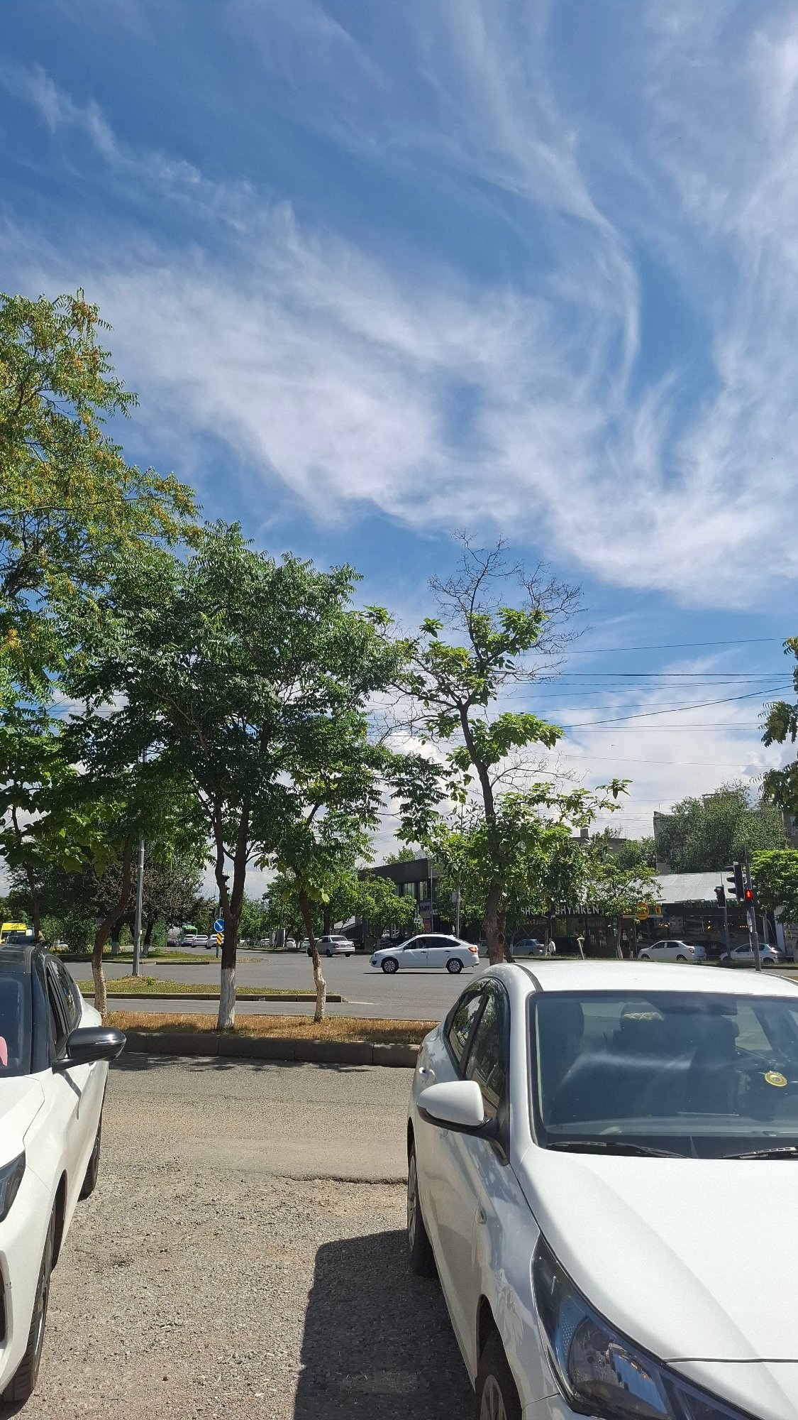 Summer morning in a Shymkent neighborhood: playgrounds, ice cream, everyday streets