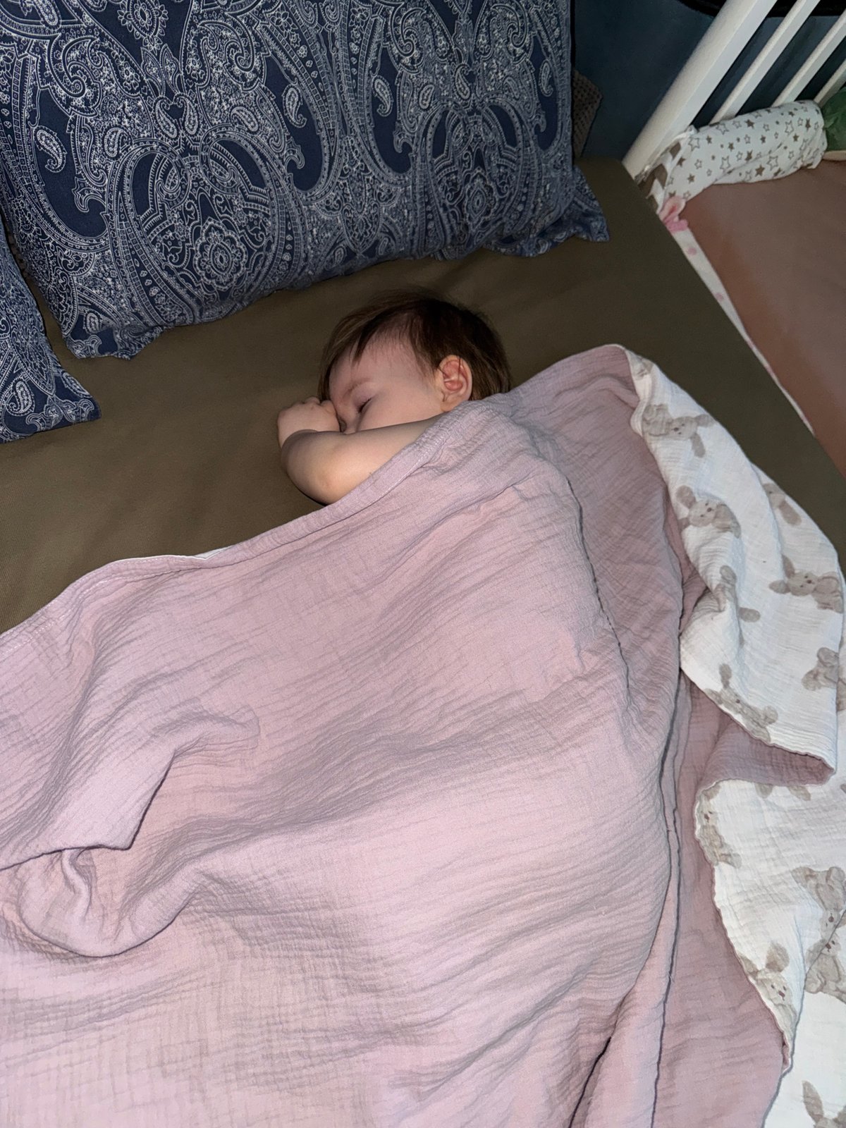 Quiet morning moments documented across Moscow households