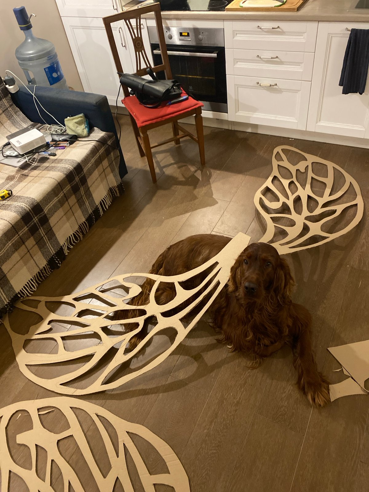 Irish Setter rests among wooden butterfly sculptures in Lobnya home