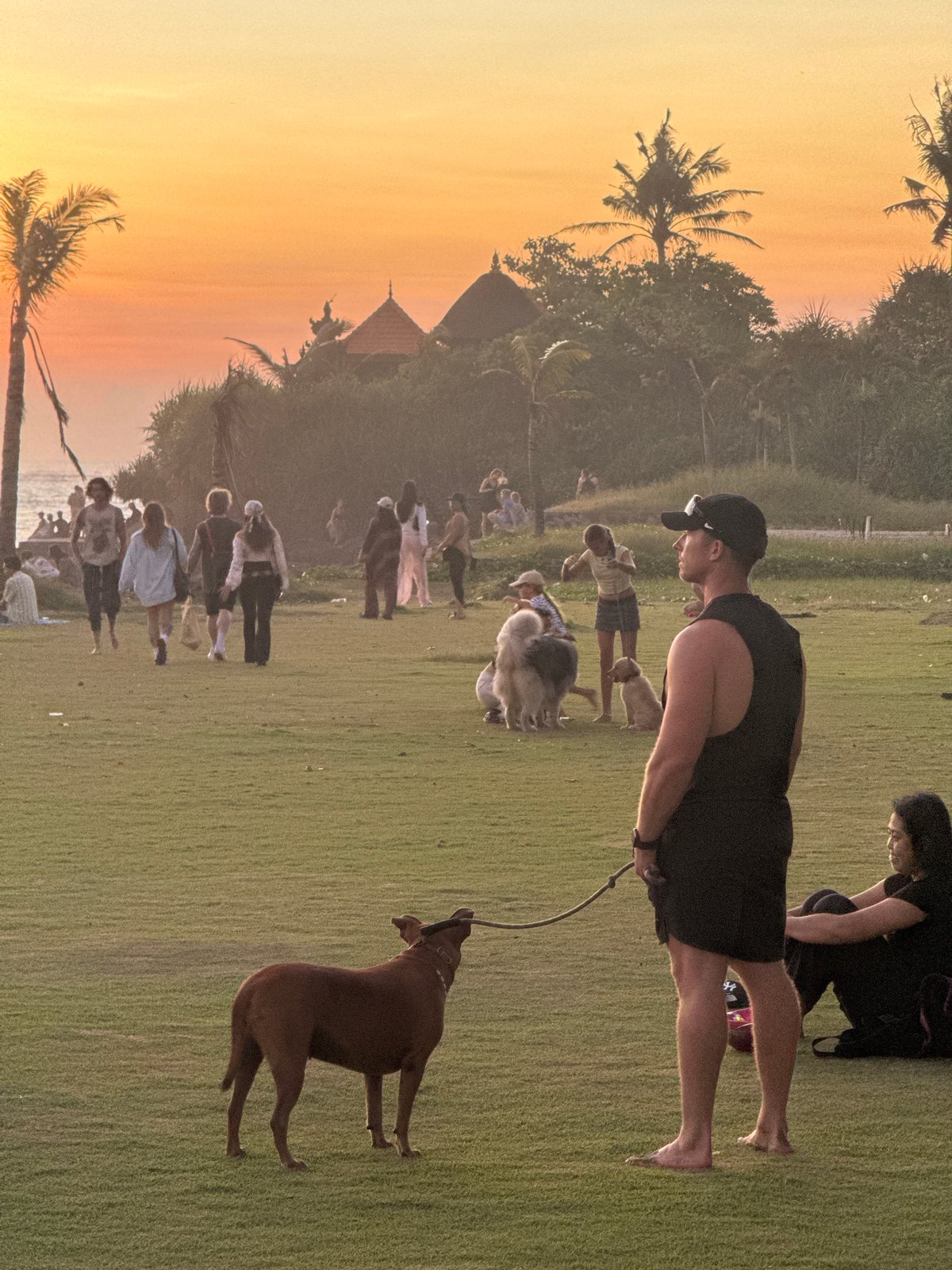 Sunset documented in Mengwi, Indonesia outdoor scene