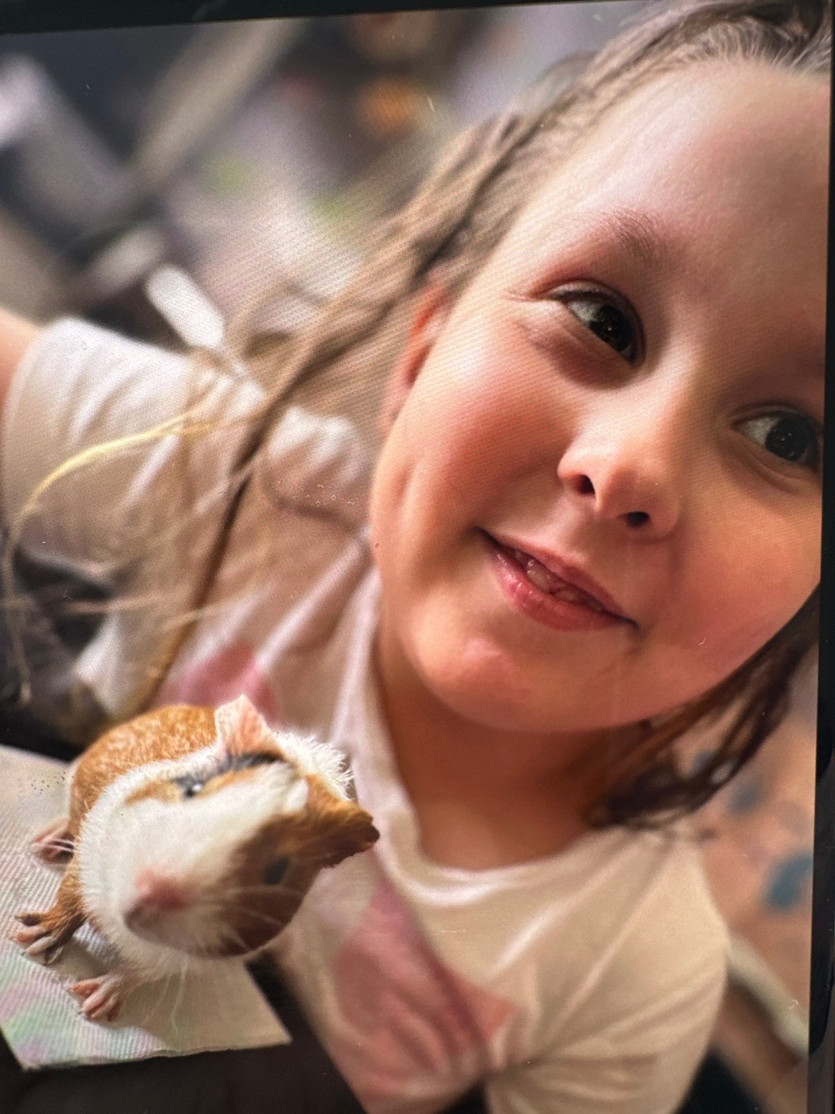 Child with guinea pet captured in casual family moments