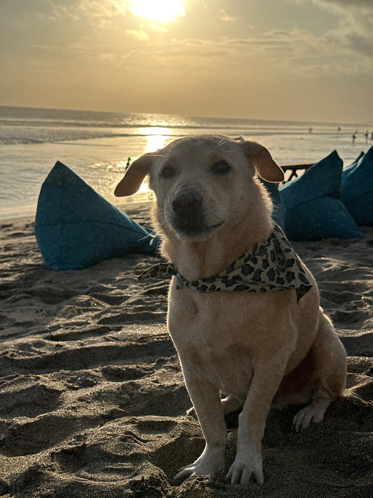 Morning beach scenes and cultural sites captured in North Kuta
