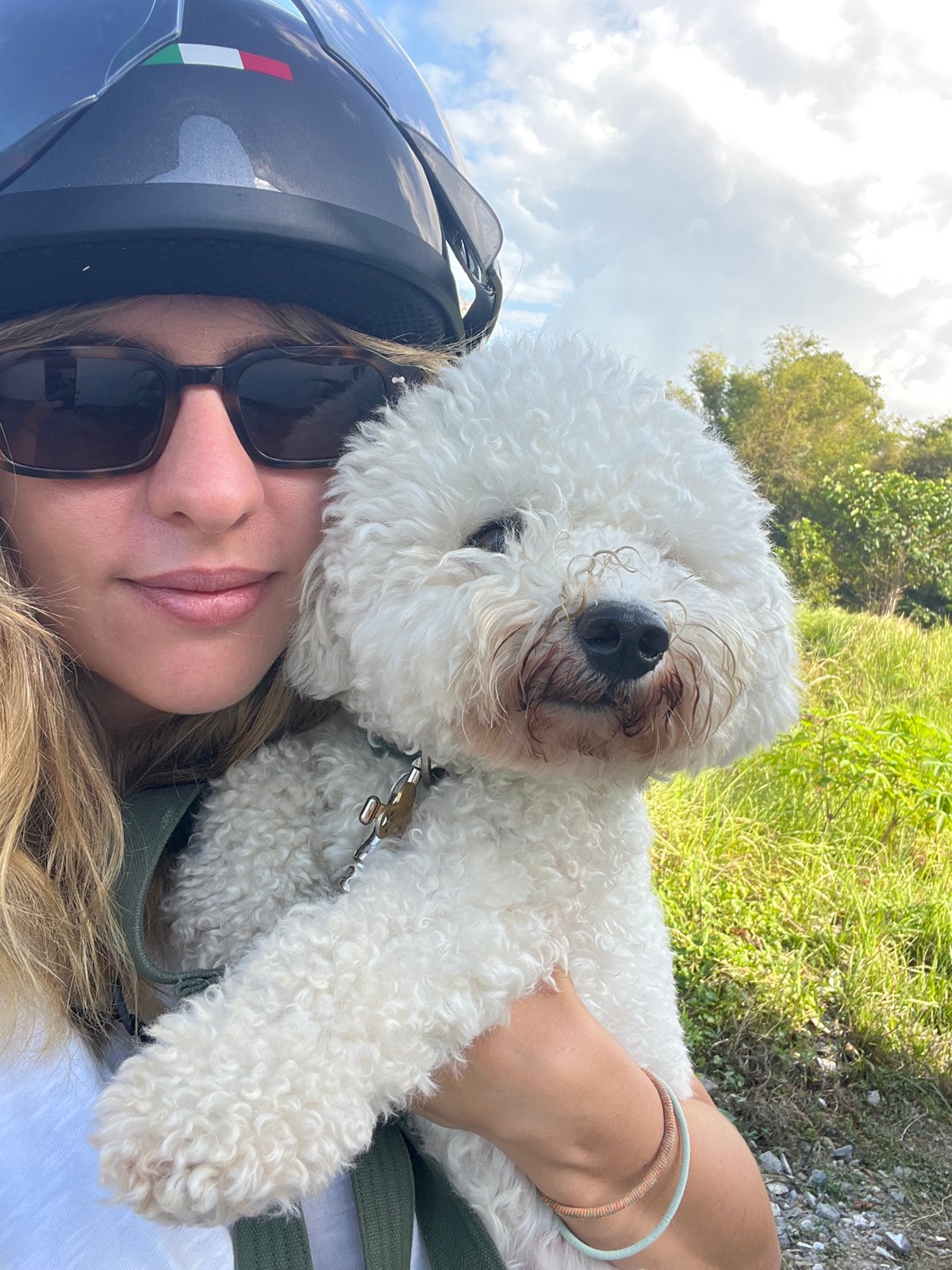 Roadside pause in Kediri with a white poodle along for the ride