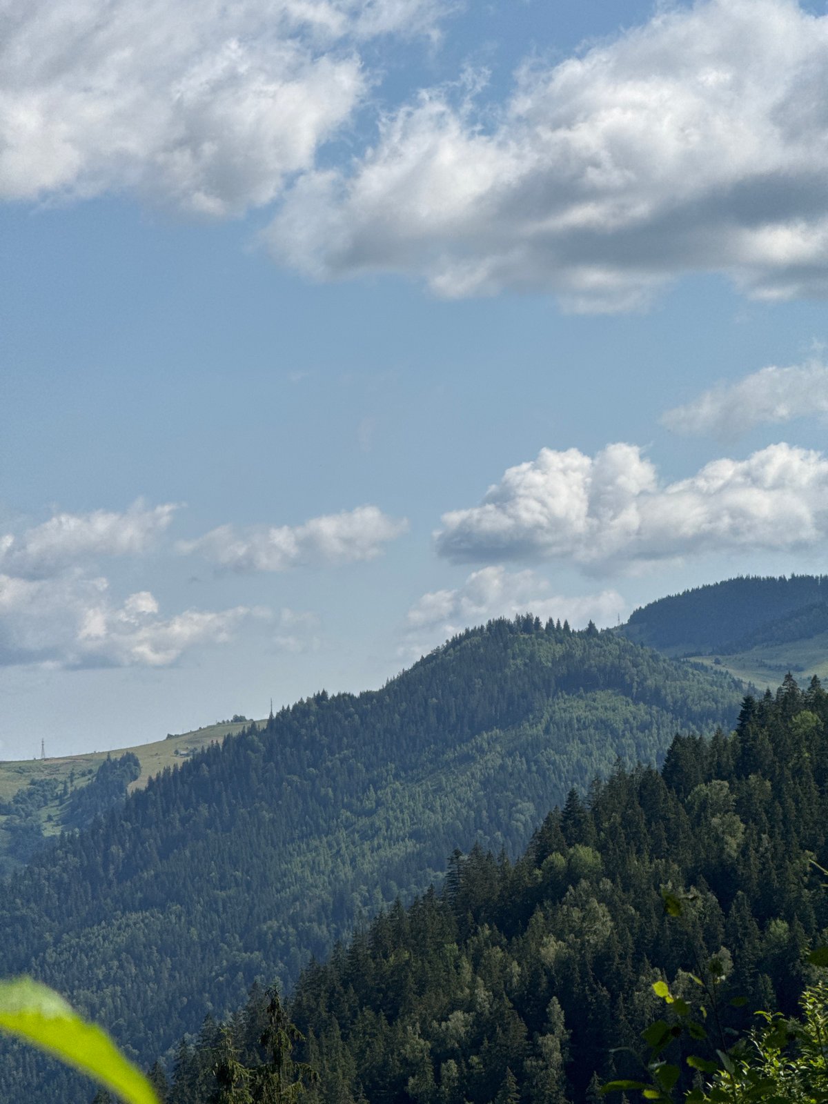Carpathian forest and mountain scenery around Kryvorivnia, Ukraine