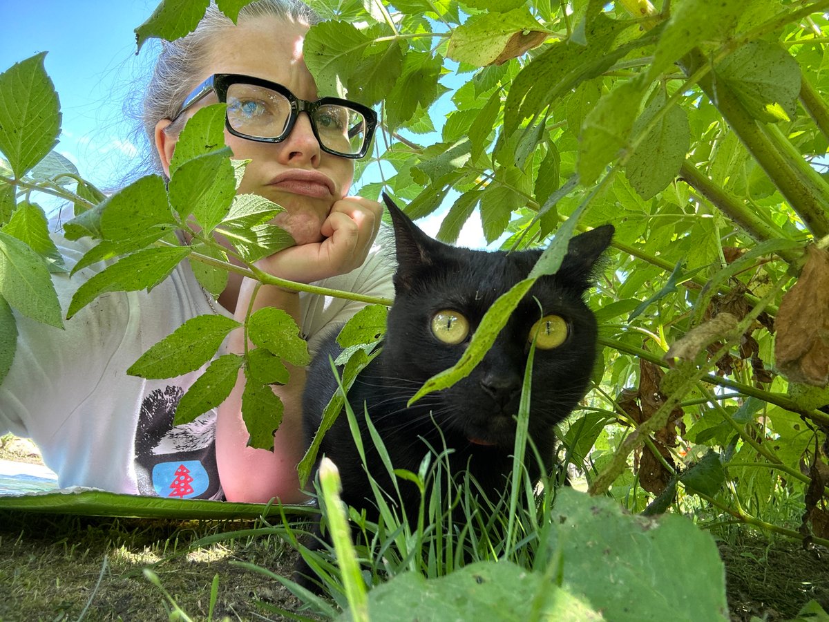 Summer backyard morning with a baby, a cat, and a garden.