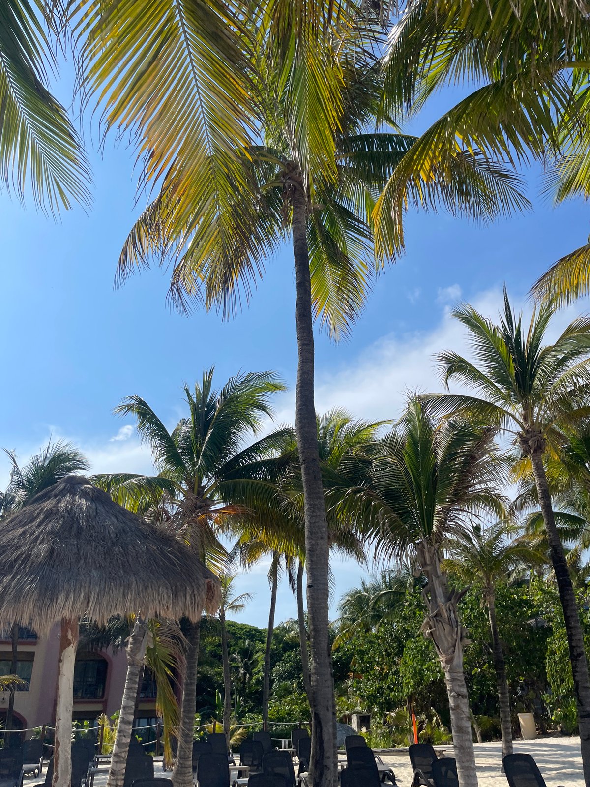 Beach volleyball and water sports activity in Playa del Carmen
