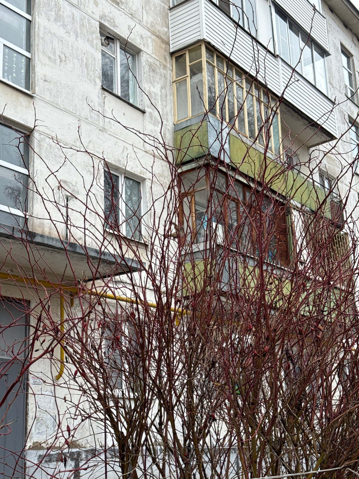 Residential building photographed through bare branches in Izhevsk