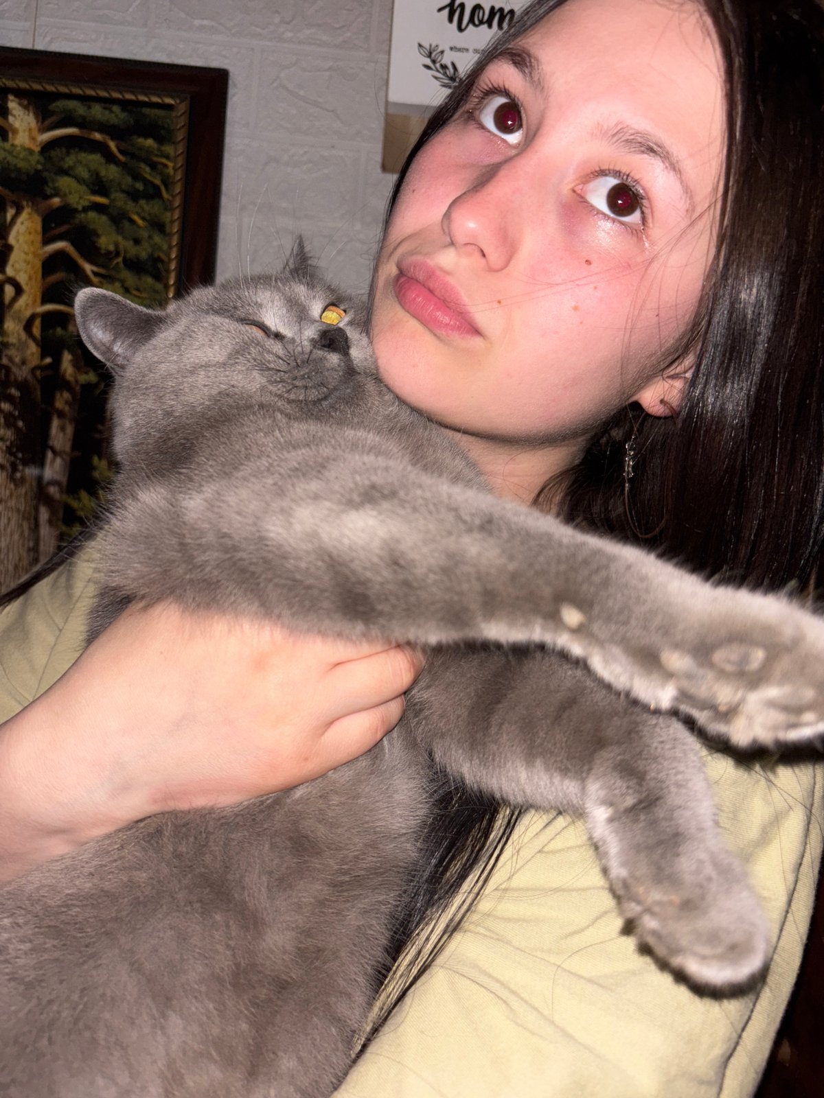 Woman and gray cat photographed together in Russian home
