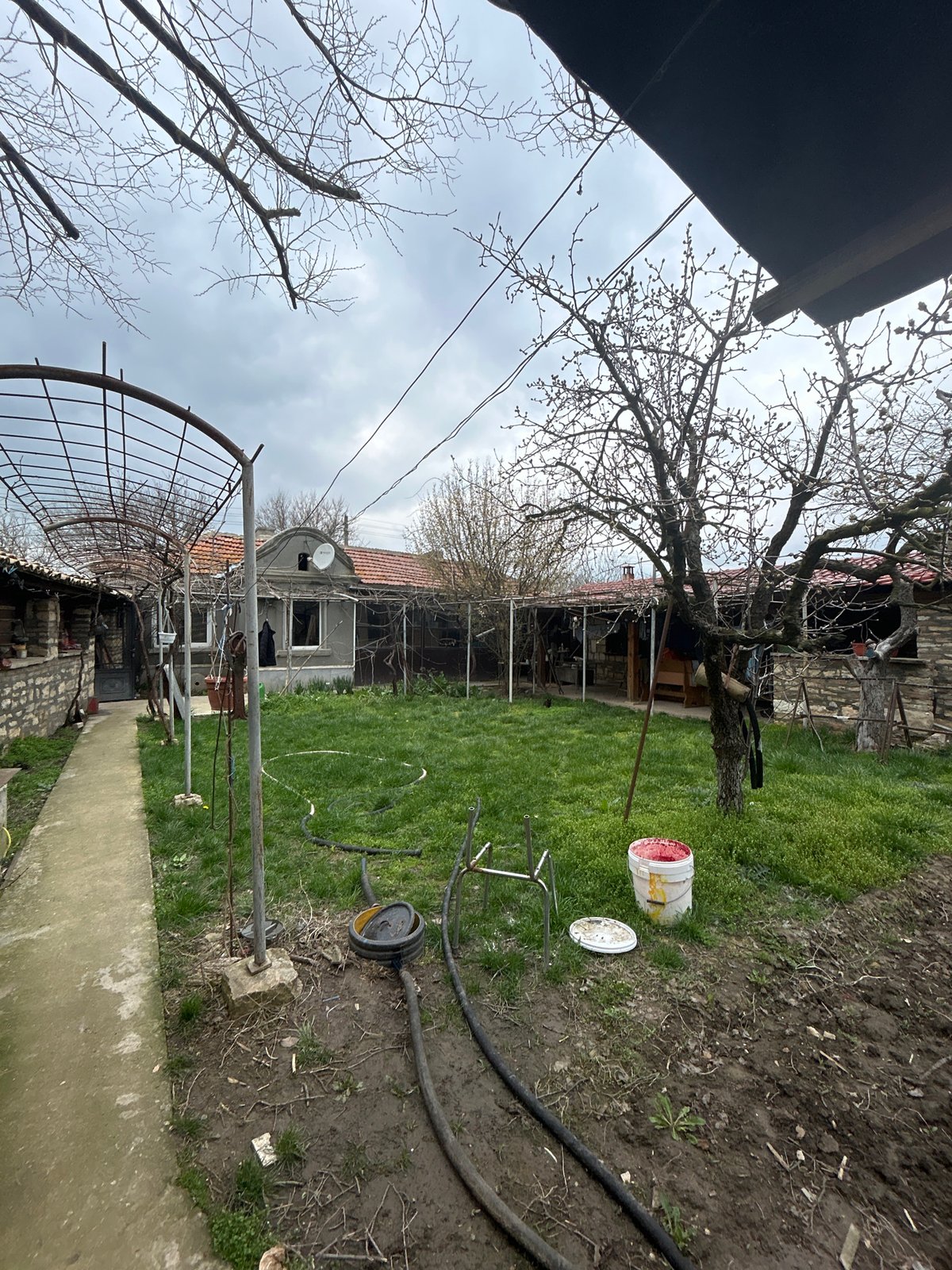 Overgrown garden documented in rural Bulgarian village