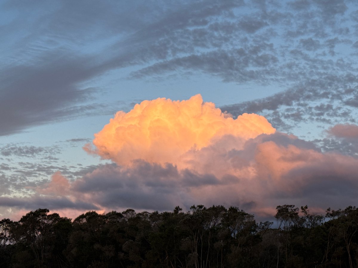 Dramatic skies and grazing cows in a quiet rural setting.