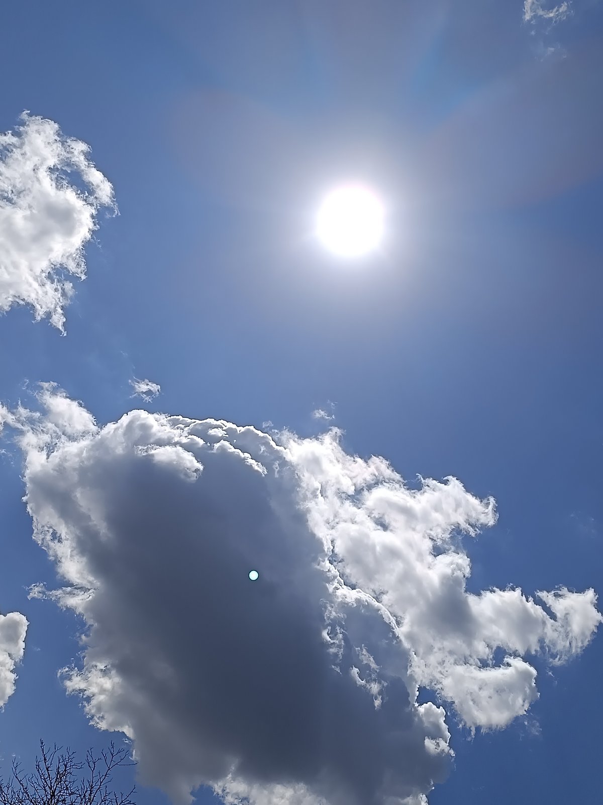 Spring morning scenes documented in Sofia parks and skies