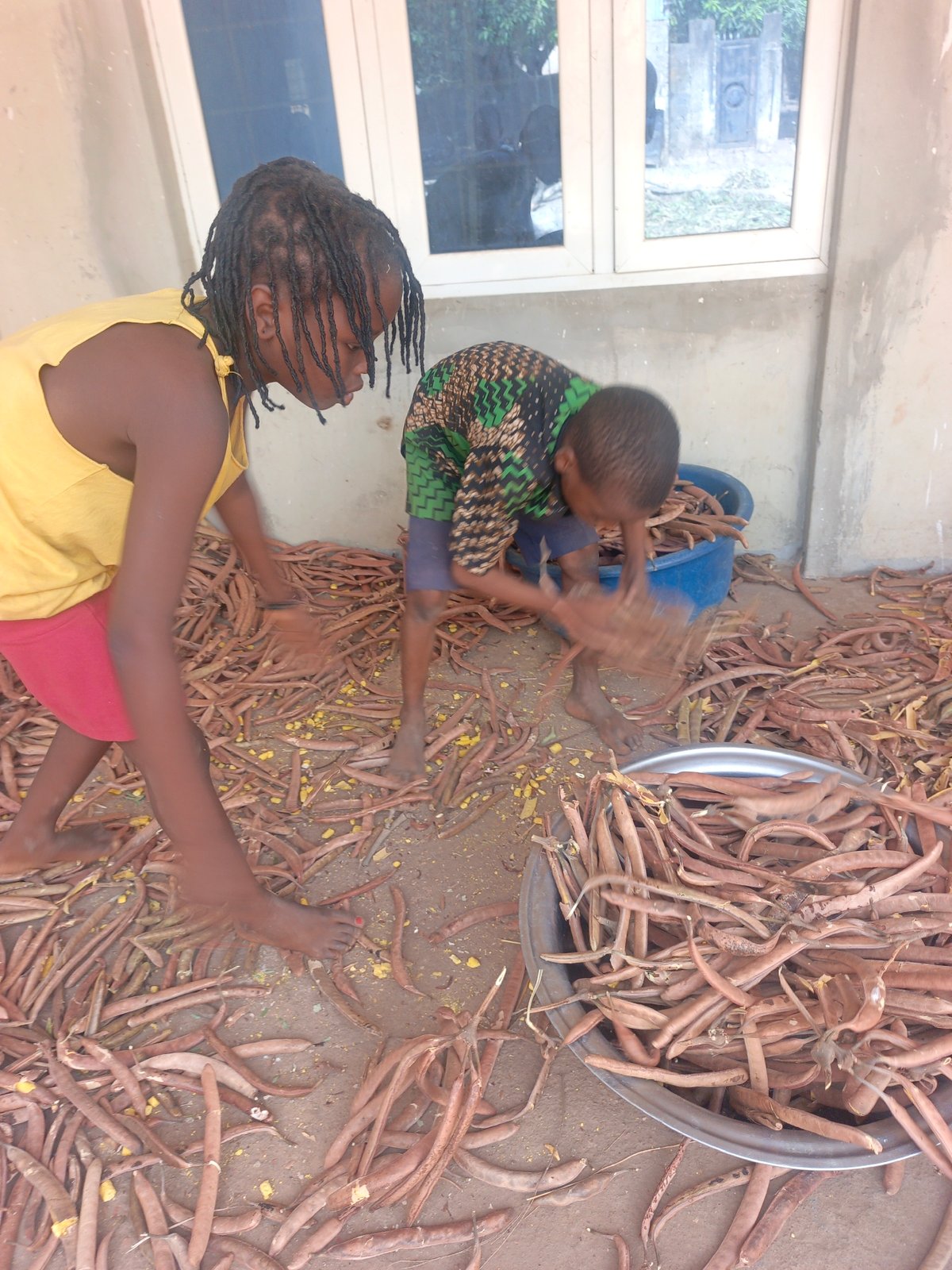 Children shell beans outside building
