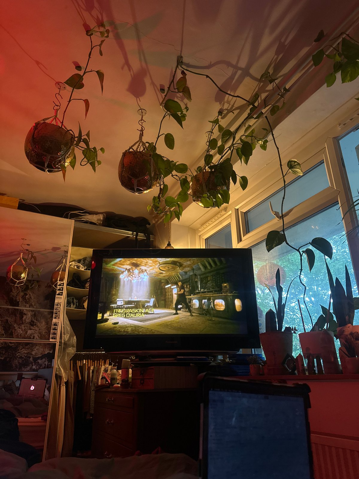 London resident enjoys sushi lunch amid plants at home
