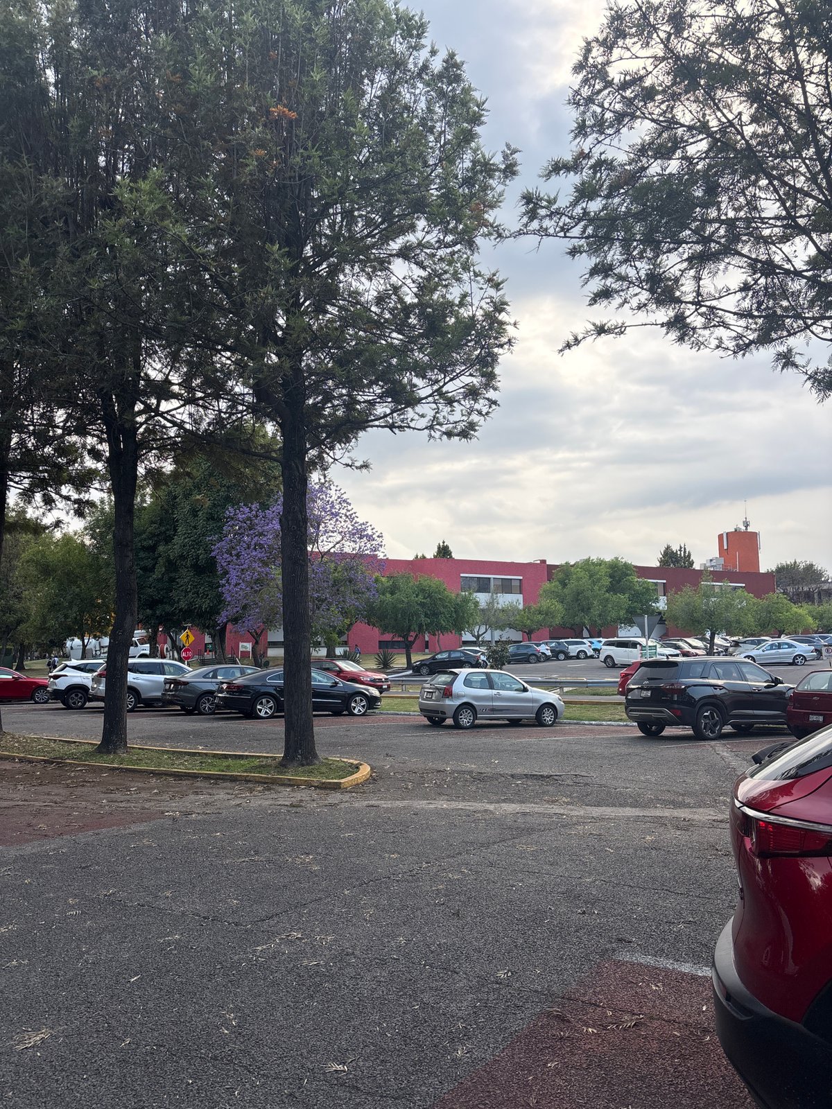 Public art and blooming jacarandas captured in San Andrés Cholula
