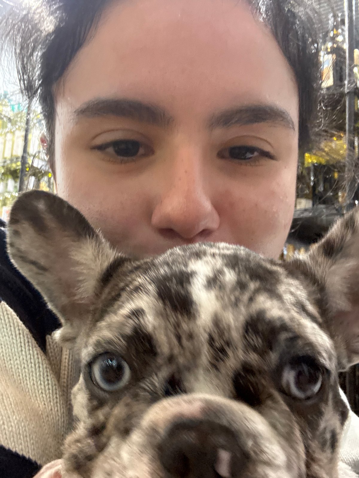 Late night puppy photos captured in Austin