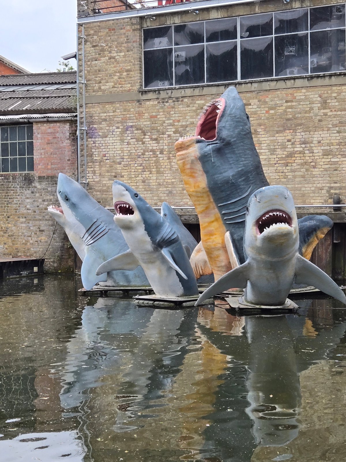 London shark sculpture installation documented by witness