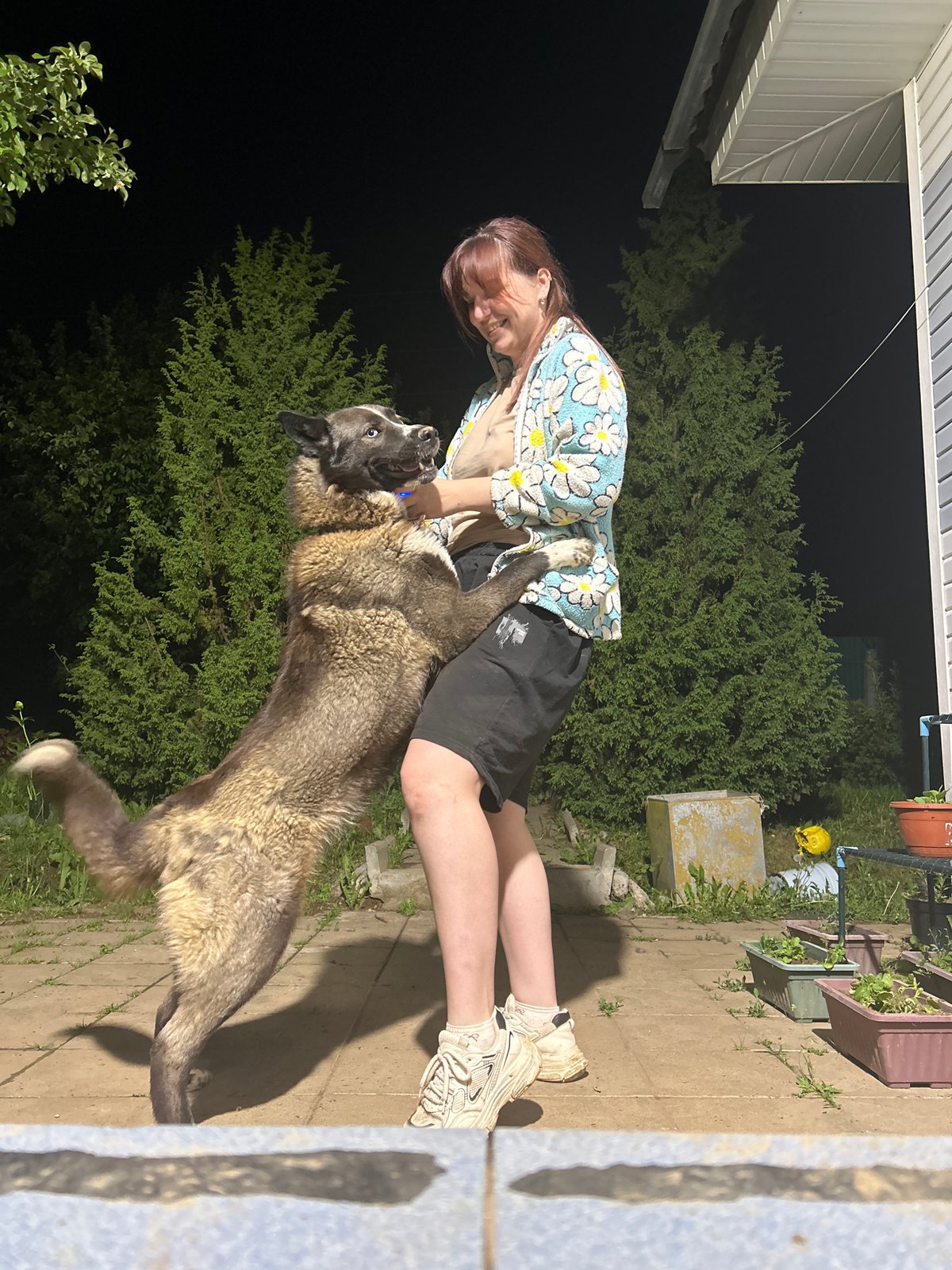 Woman and dog share evening playtime in Russian village