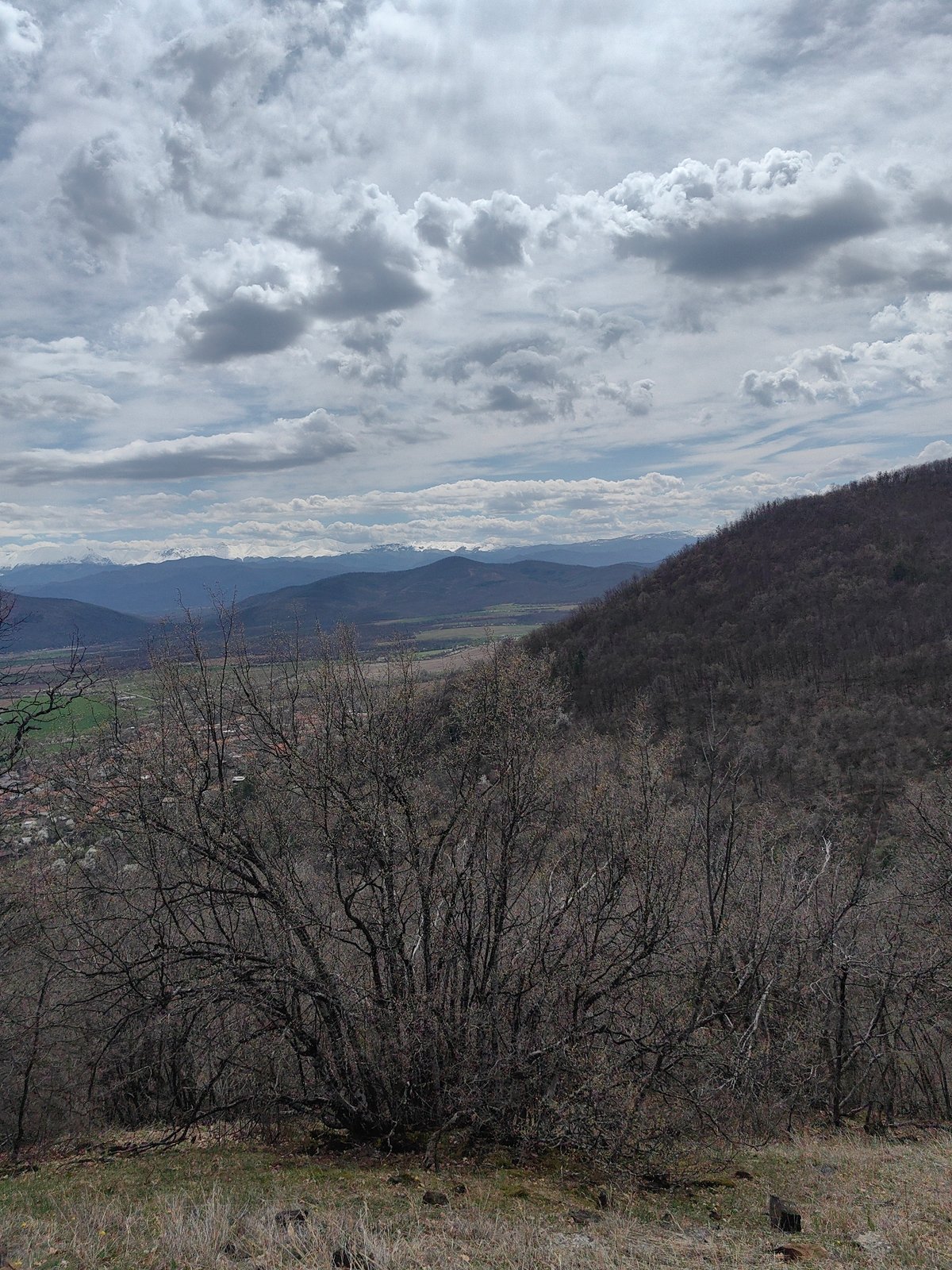 Overcast morning landscape documented in rural Vrabevo, Bulgaria