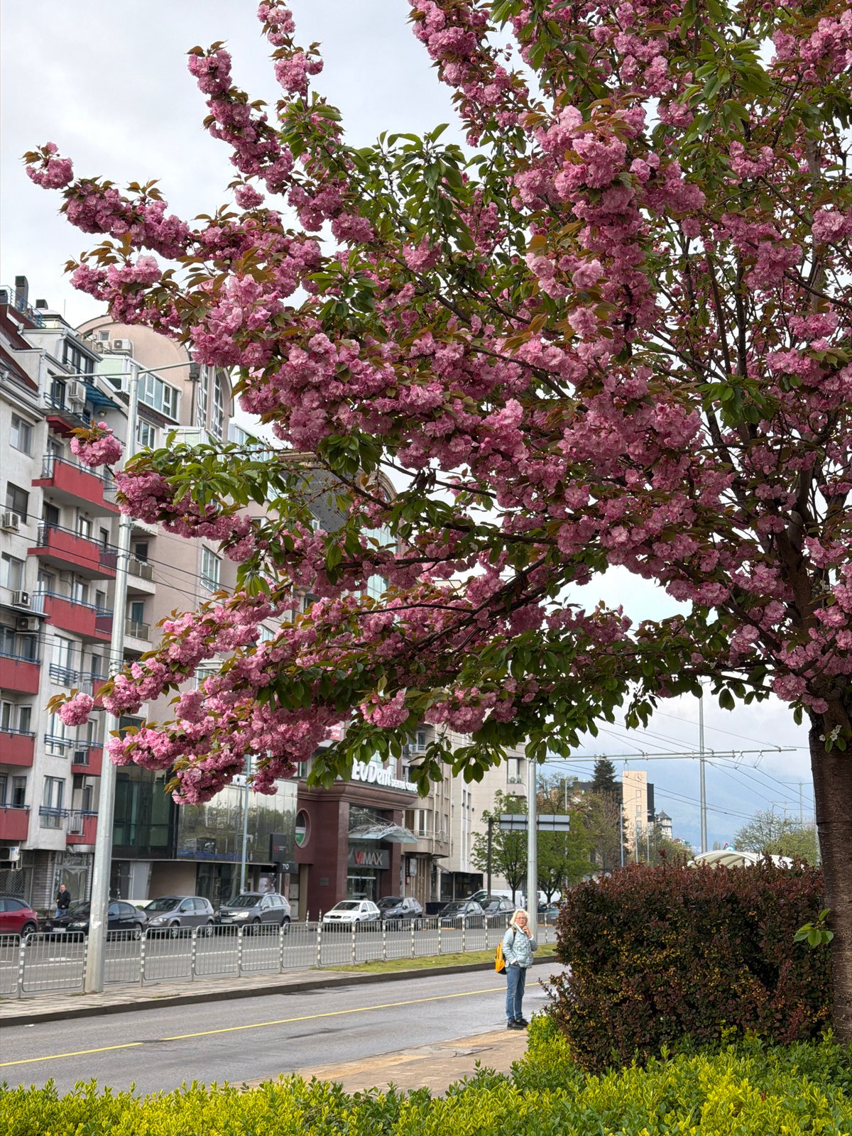 Spring morning scenes captured across Sofia, Bulgaria
