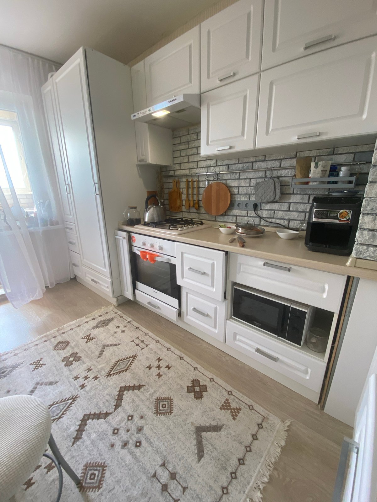 Home interior moments captured with gray cat, modern kitchen
