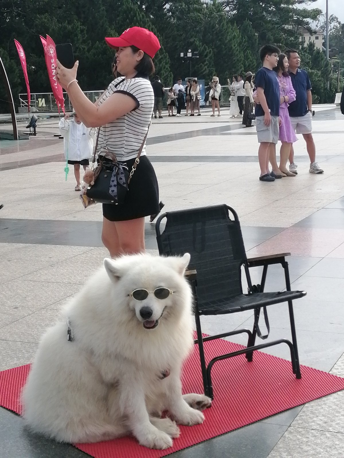 Da Lat plaza buzzes with tourists, photo ops, and dressed-up animals