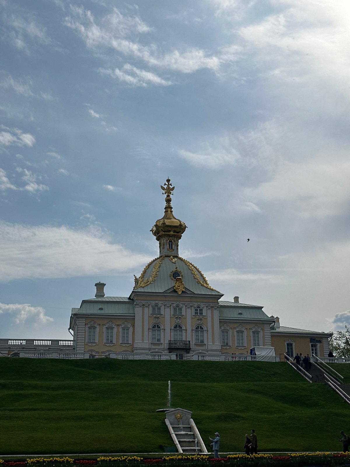 Tourist captures Peterhof Palace fountains and spring gardens