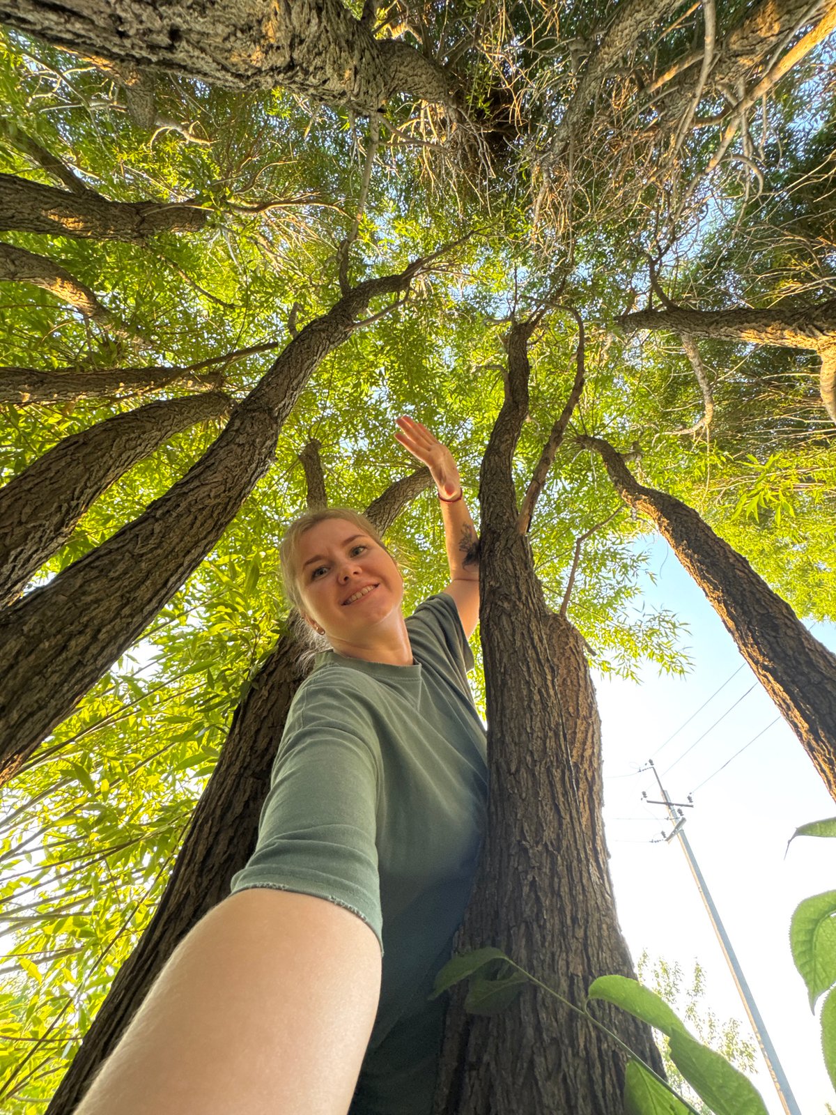 Person climbs trees, waves to camera in Горный, Russia