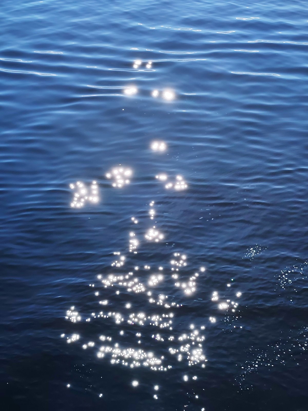 Peaceful water scene documented near Shchetinskoe, Russia