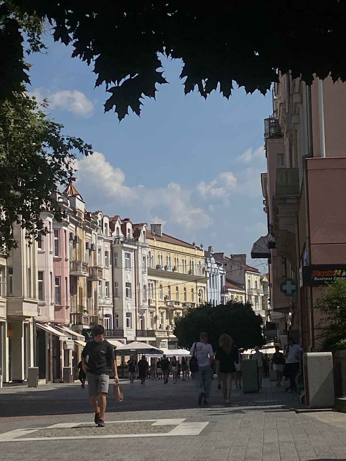 Strolling a colorful European streetscape lined with trees